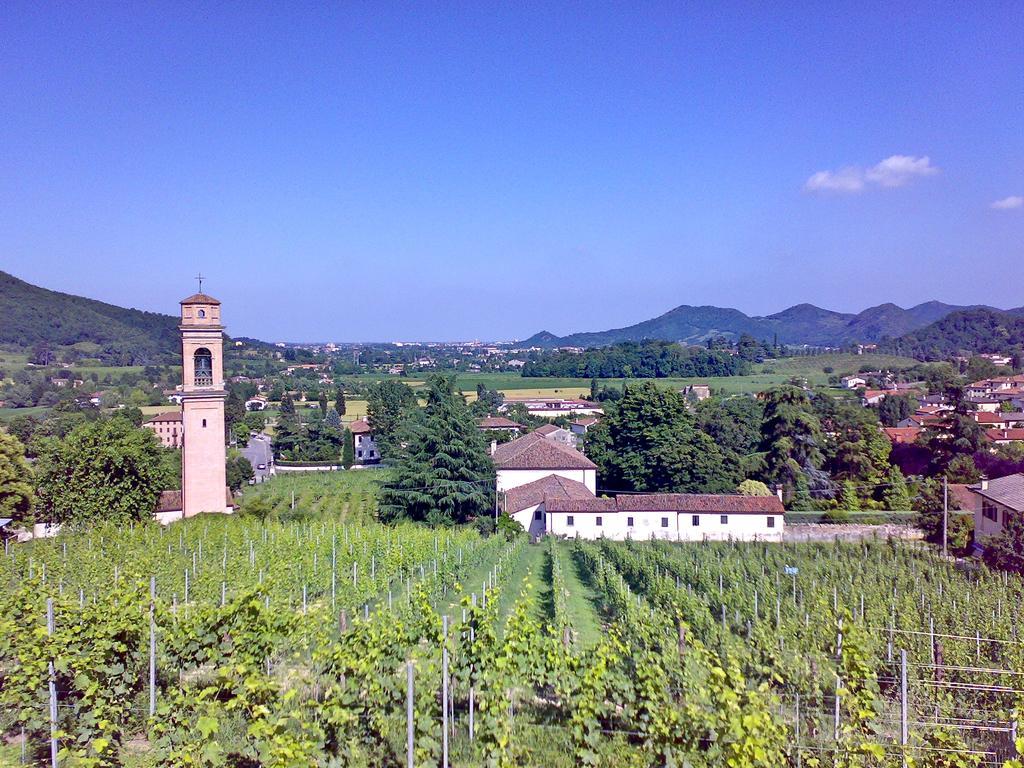 Villa Pollini Torreglia エクステリア 写真