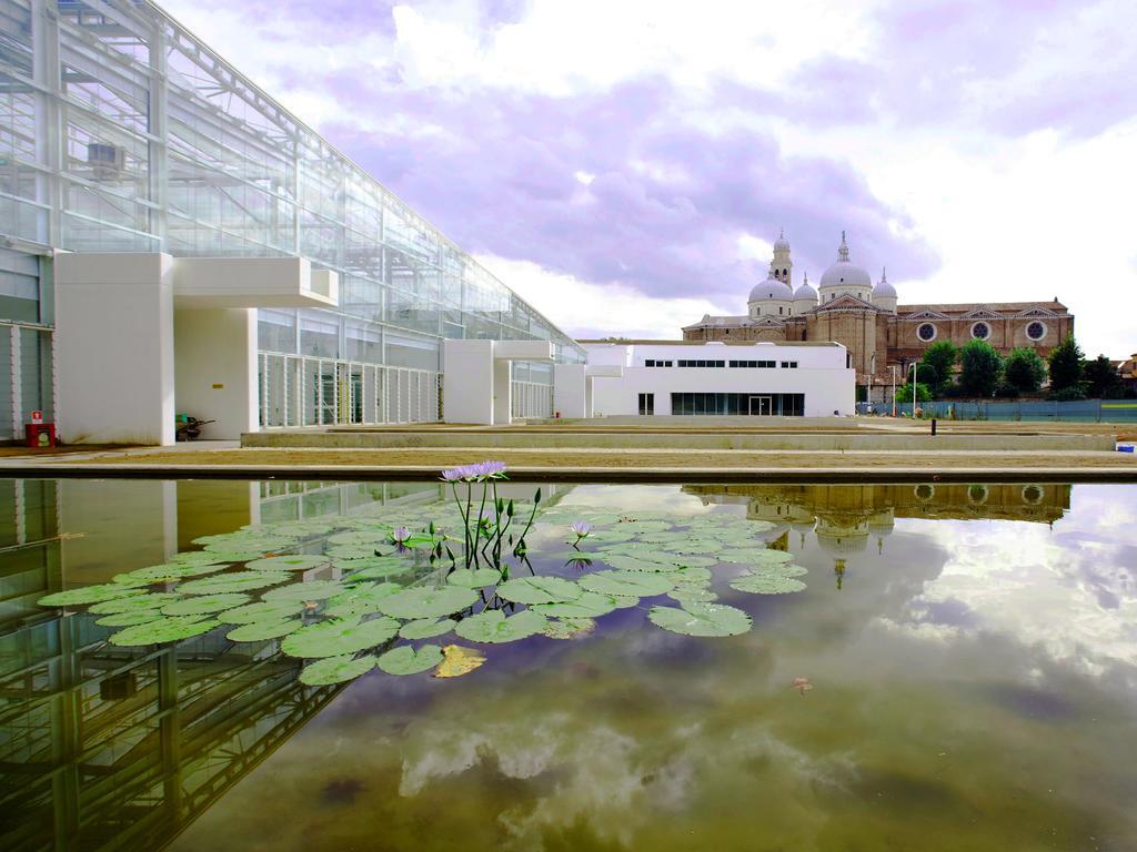 Villa Pollini Torreglia エクステリア 写真