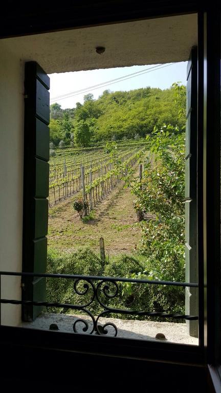 Villa Pollini Torreglia エクステリア 写真